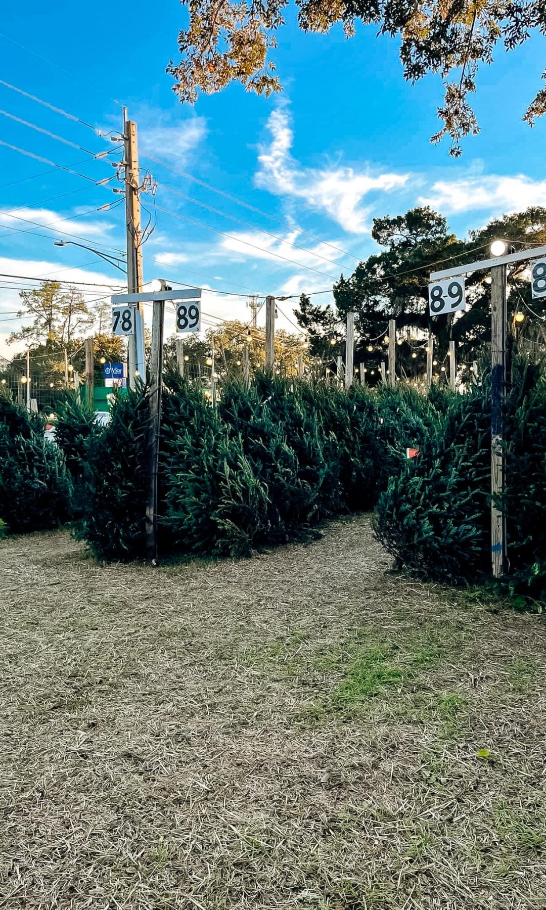 482218779_698527732499393_3922475219062208277_n